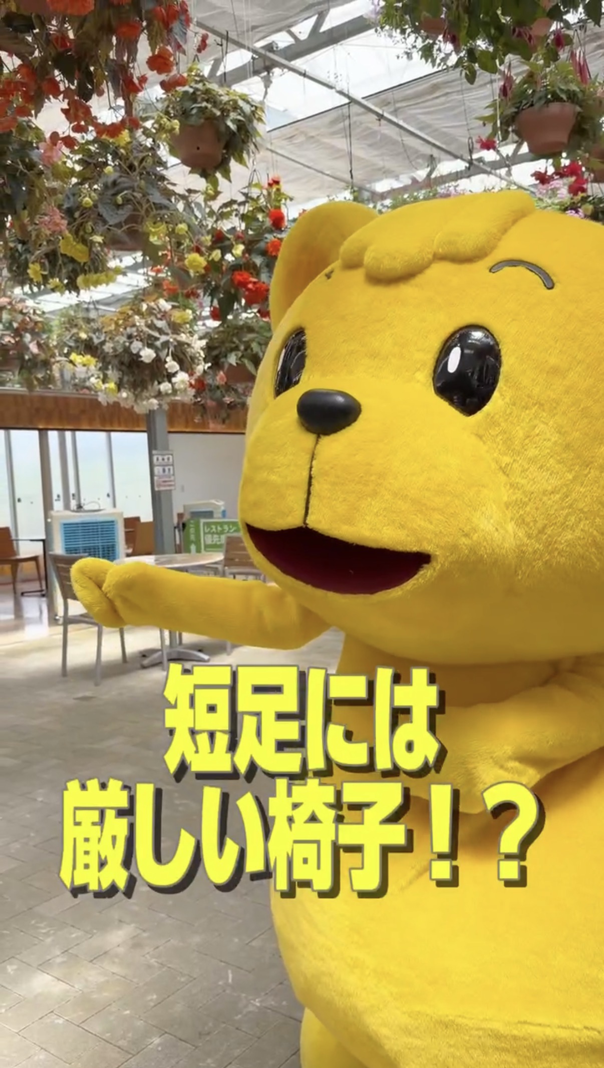 マーくん動画