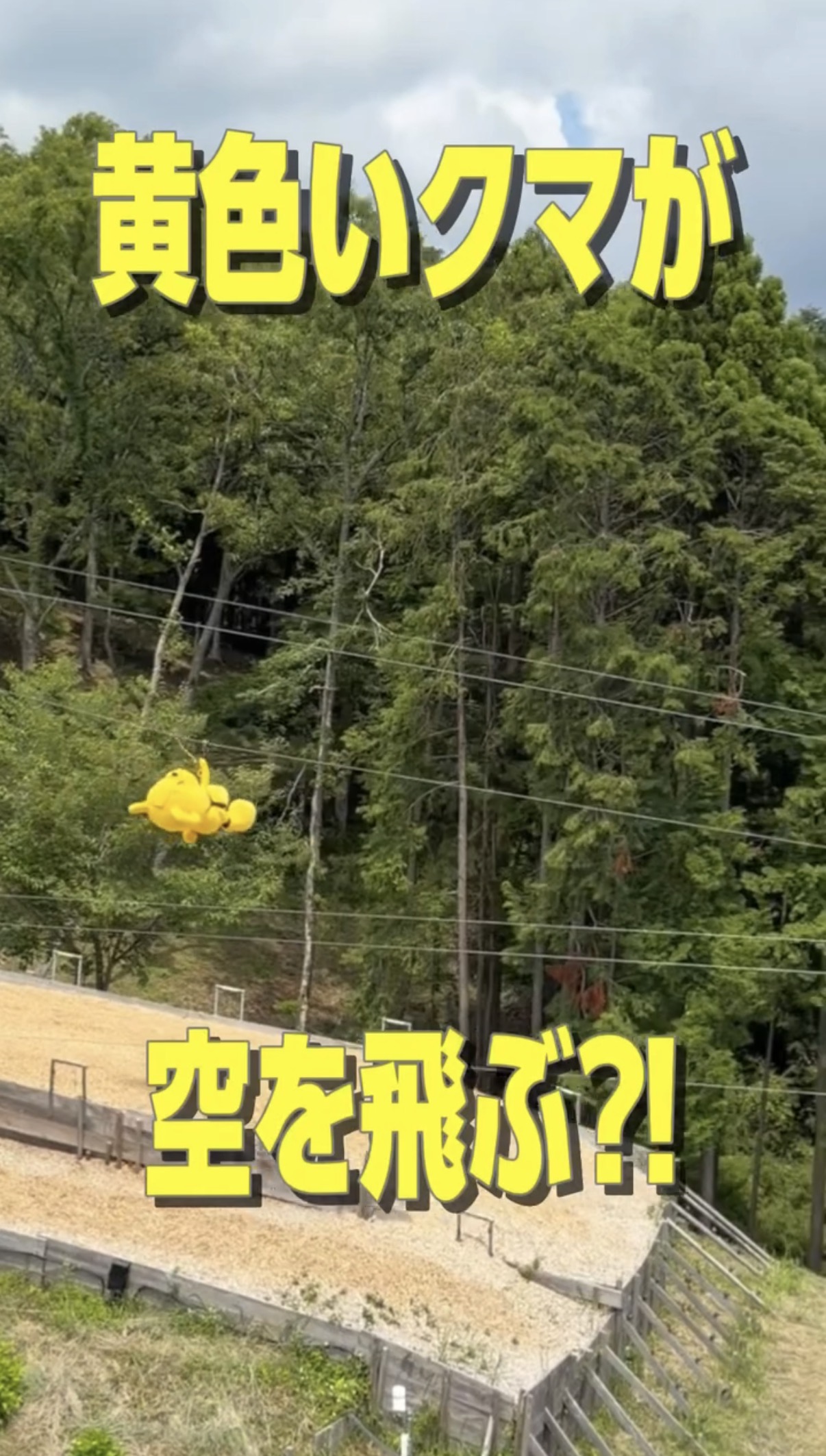 マーくん動画