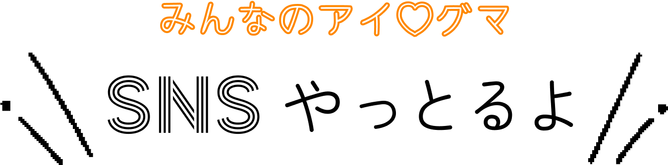みんなのアイグマ SNSやっとるよ